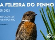 Indicadores da Fileira do Pinho em 2025